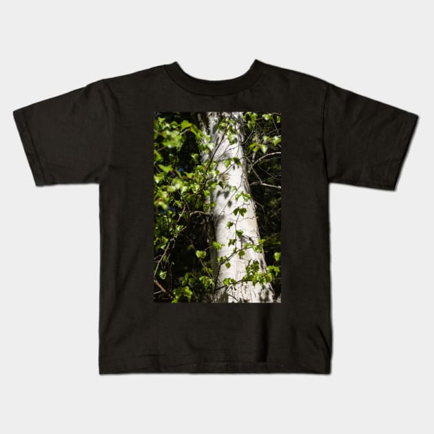 White tree trunk. Kids T-Shirt by sma1050